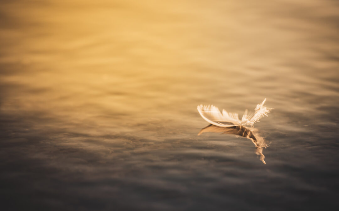 How I moved country with my photography business