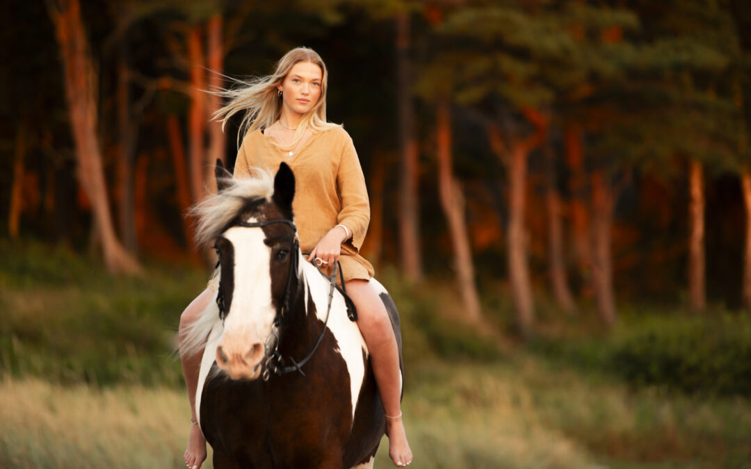 Hästfotografering i Fjällbacka