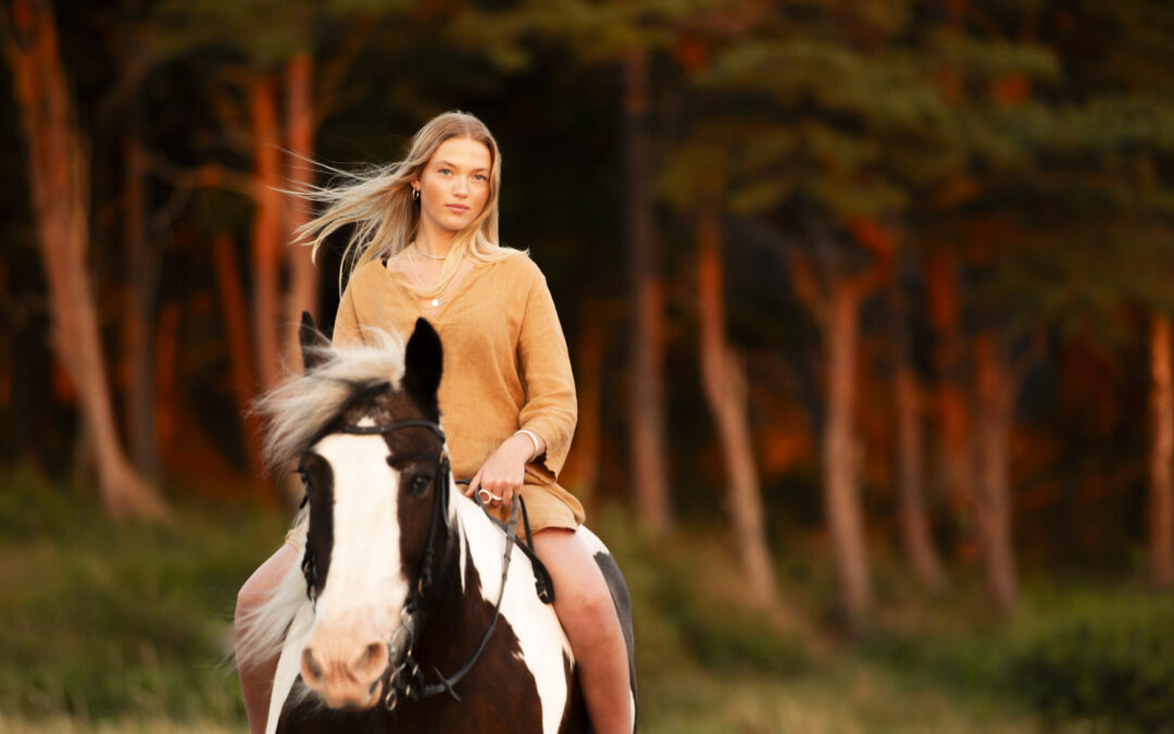 Horse photography in Fjällbacka